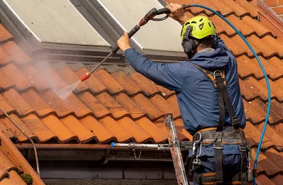 Démoussage et hydrofuge de toiture à Vénérieu